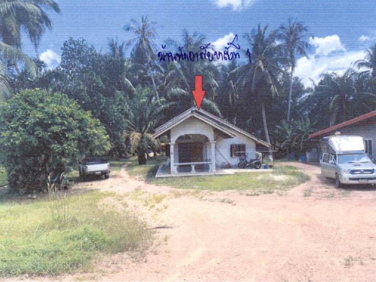 ขายทอดตลาด ที่ดินพร้อมสิ่งปลูกสร้าง ต.นาพญา อ.หลังสวน จ.ชุมพร