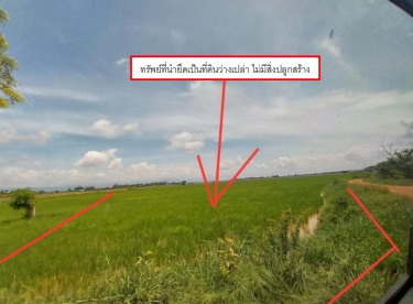 ขายทอดตลาด ที่ดินว่างเปล่า จ.เพชรบูรณ์