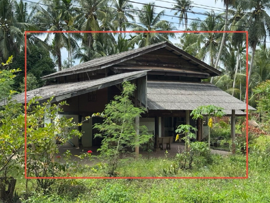 ขายทอดตลาด ที่ดินพร้อมสิ่งปลูกสร้าง ต.ปากแพรก อ.สวี จ.ชุมพร
