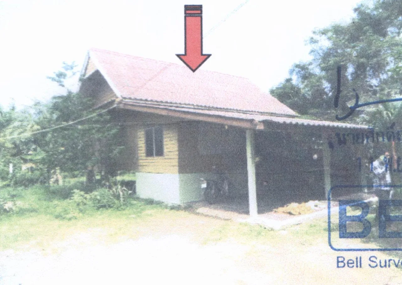 ขายทอดตลาด ที่ดินพร้อมสิ่งปลูกสร้าง ต.วังตะกอ อ.หลังสวน จ.ชุมพร