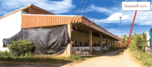 ขายทอดตลาด ที่ดินว่างเปล่า จ.ชุมพร