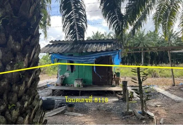 ขายทอดตลาด ที่ดินพร้อมสิ่งปลูกสร้าง ต.ทุ่งหลวง อ.ละแม จ.ชุมพร