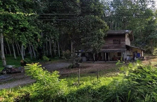 ขายทอดตลาด ที่ดินพร้อมสิ่งปลูกสร้าง ต.นาขา อ.หลังสวน จ.ชุมพร
