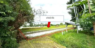 รูปทรัพย์ 2