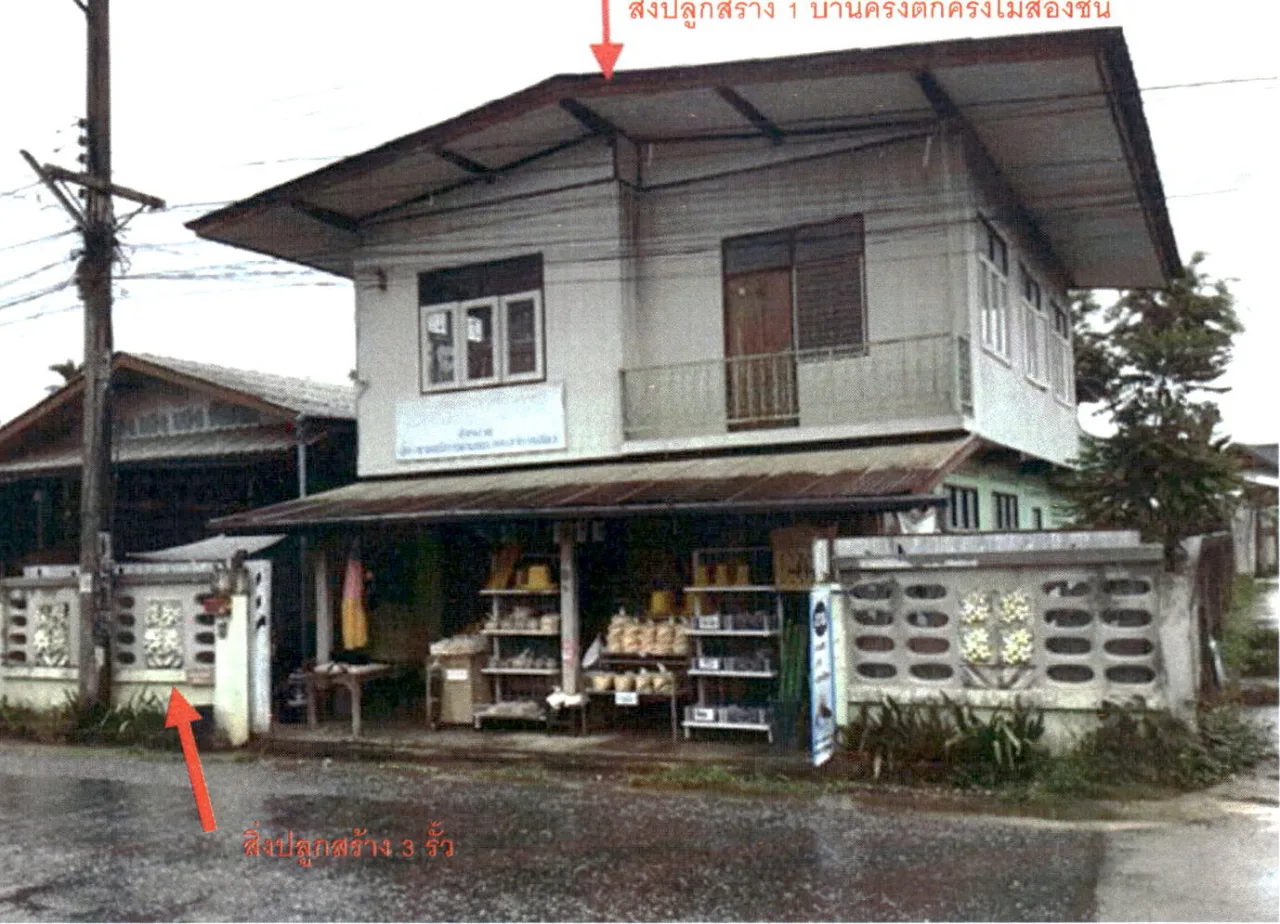 ขายทอดตลาด ที่ดินพร้อมสิ่งปลูกสร้าง ต.ป่าแดด อ.แม่สรวย จ.เชียงราย