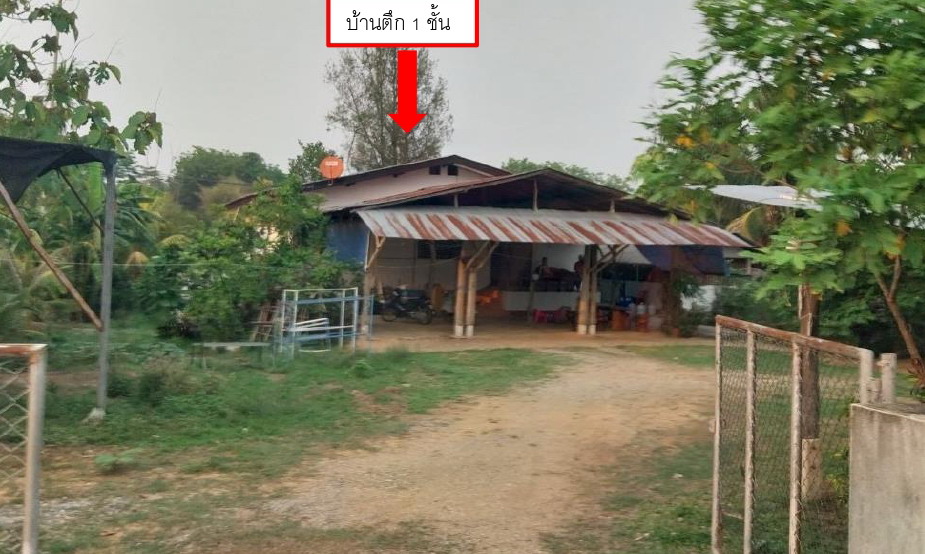 ขายทอดตลาด ที่ดินพร้อมสิ่งปลูกสร้าง ต.แม่ยาว อ.เมืองเชียงราย จ.เชียงราย