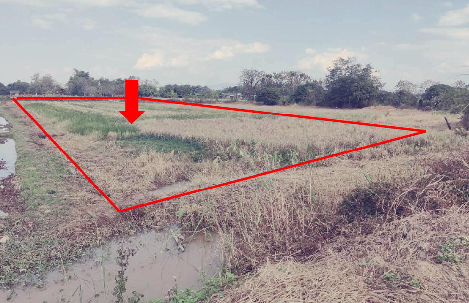 ขายทอดตลาด ที่ดินว่างเปล่า จ.เชียงราย