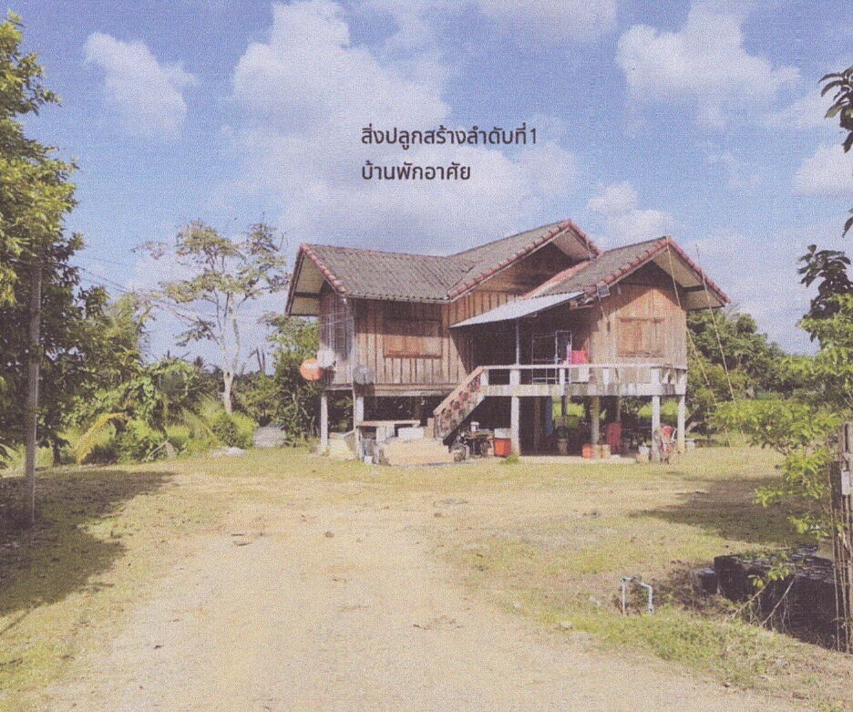 ขายทอดตลาด ที่ดินพร้อมสิ่งปลูกสร้าง ต.บัวสลี อ.กิ่งอำเภอแม่ลาว จ.เชียงราย