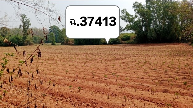 ขายทอดตลาด ที่ดินว่างเปล่า จ.เพชรบูรณ์