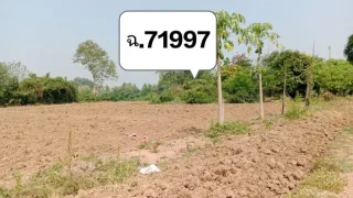 รูปทรัพย์ 2