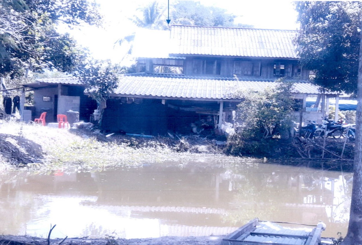 ขายทอดตลาด ที่ดินพร้อมสิ่งปลูกสร้าง ต.สันมะเค็ด อ.พาน จ.เชียงราย