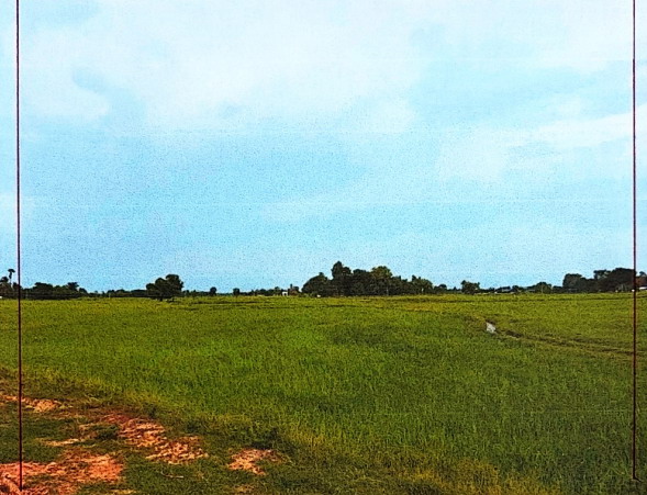 ขายทอดตลาด ที่ดินว่างเปล่า ต.ทุ่งสมอ อ.พนมทวน จ.กาญจนบุรี