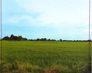 รูปทรัพย์ 2