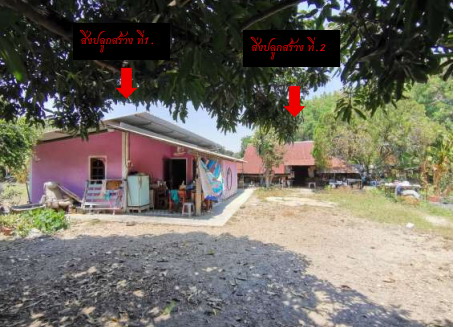 ขายทอดตลาด ที่ดินพร้อมสิ่งปลูกสร้าง ต.สนามแย้ อ.ท่ามะกา จ.กาญจนบุรี