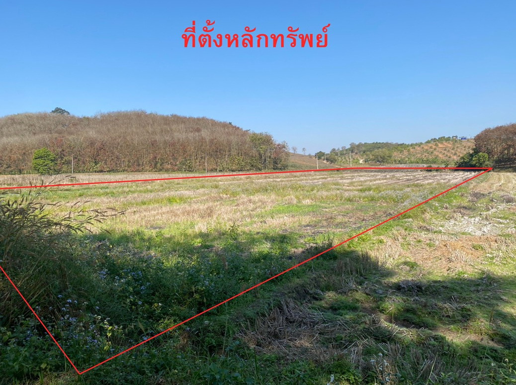 ขายทอดตลาด ที่ดินว่างเปล่า จ.เชียงราย