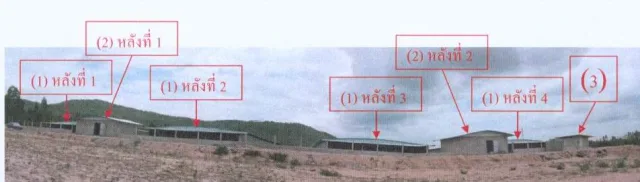 ขายทอดตลาด ที่ดินพร้อมสิ่งปลูกสร้าง ต.พนมทวน อ.พนมทวน จ.กาญจนบุรี