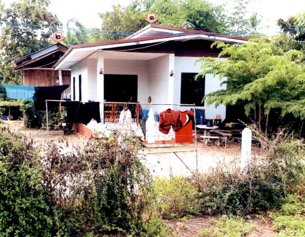 ขายทอดตลาด ที่ดินพร้อมสิ่งปลูกสร้าง ต.บ้านแซว อ.เชียงแสน จ.เชียงราย