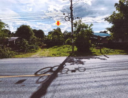 ขายทอดตลาด ที่ดินว่างเปล่า ต.วังศาลา อ.ท่าม่วง จ.กาญจนบุรี