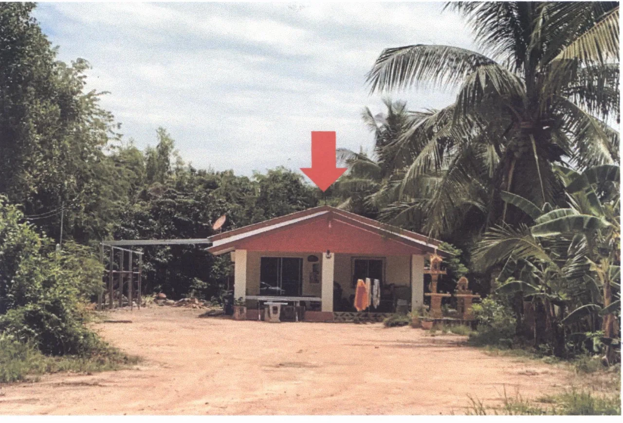 ขายทอดตลาด ที่ดินพร้อมสิ่งปลูกสร้าง ต.ทุ่งทราย อ.ทรายทองวัฒนา จ.กำแพงเพชร
