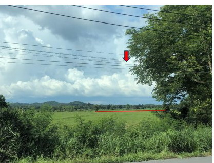 ขายทอดตลาด ที่ดินว่างเปล่า จ.กำแพงเพชร