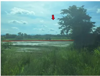 รูปทรัพย์ 2