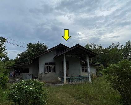 ขายทอดตลาด ที่ดินพร้อมสิ่งปลูกสร้าง ต.หนองบัว อ.รัษฎา จ.ตรัง