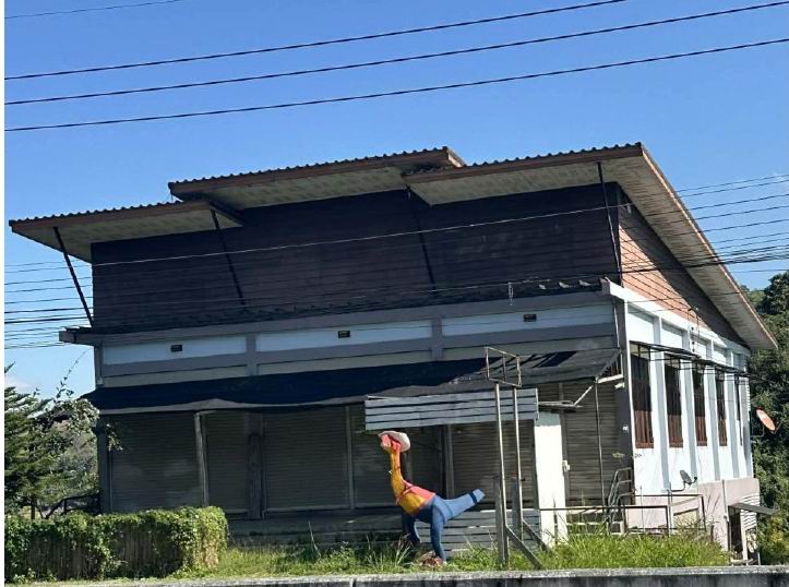 ขายทอดตลาด ที่ดินพร้อมสิ่งปลูกสร้าง ต.แม่เจดีย์ใหม่ อ.เวียงป่าเป้า จ.เชียงราย