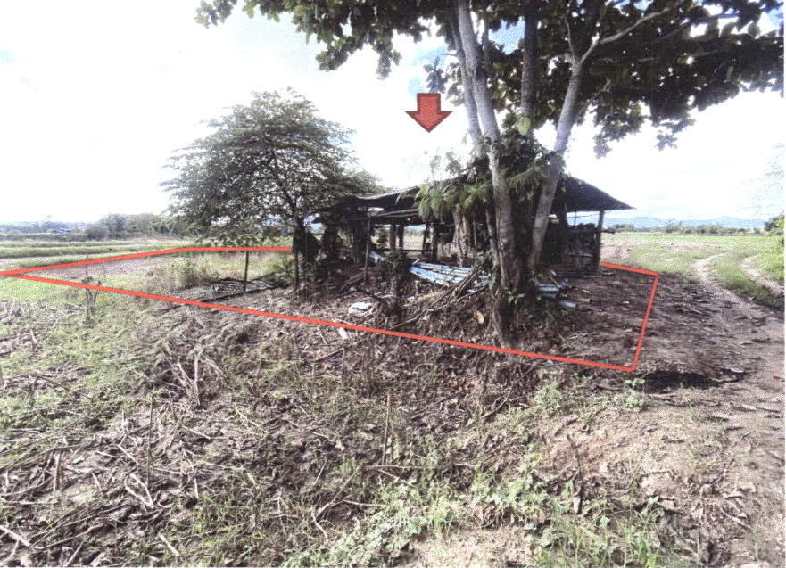 ขายทอดตลาด ที่ดินพร้อมสิ่งปลูกสร้าง ต.หัวเมือง อ.สอง จ.แพร่
