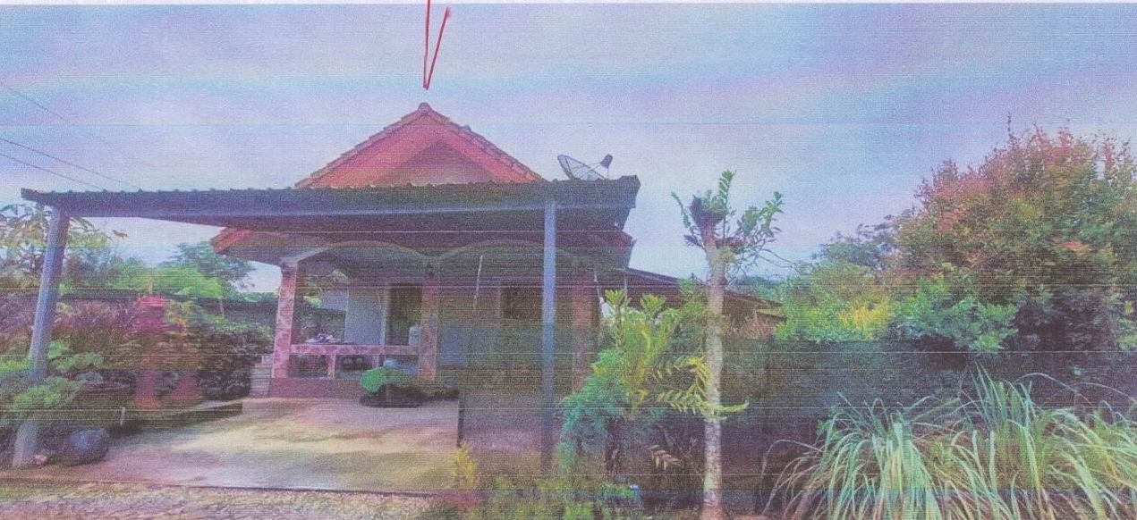 ขายทอดตลาด ที่ดินพร้อมสิ่งปลูกสร้าง ต.โป่งผา อ.แม่สาย จ.เชียงราย