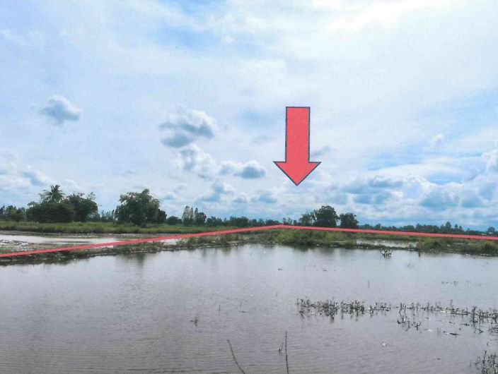 ขายทอดตลาด ที่ดินว่างเปล่า จ.กำแพงเพชร