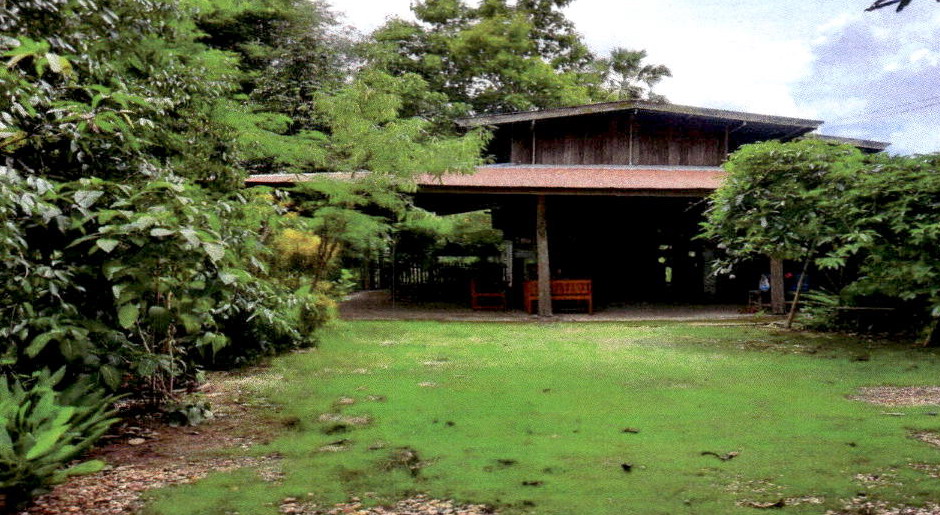 ขายทอดตลาด ที่ดินพร้อมสิ่งปลูกสร้าง ต.ปงป่าหวาย อ.เด่นชัย จ.แพร่