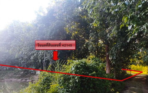 ขายทอดตลาด ที่ดินว่างเปล่า จ.เชียงราย