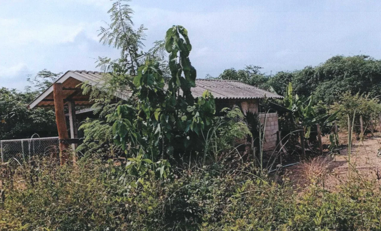 ขายทอดตลาด ที่ดินพร้อมสิ่งปลูกสร้าง ต.สันสลี อ.เวียงป่าเป้า จ.เชียงราย