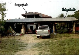 รูปทรัพย์ 2