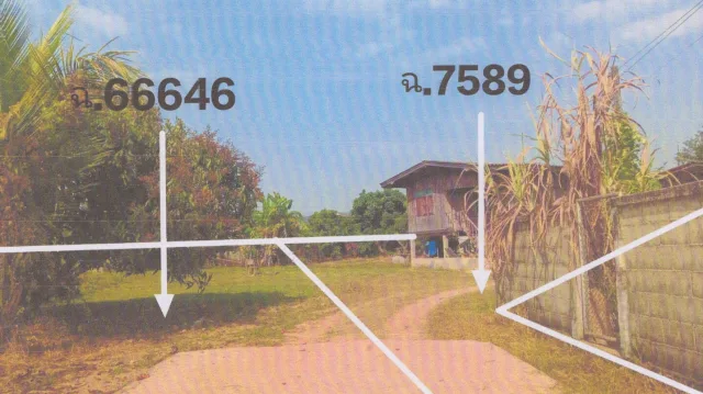 ขายทอดตลาด ที่ดินพร้อมสิ่งปลูกสร้าง ต.เจริญเมือง อ.พาน จ.เชียงราย