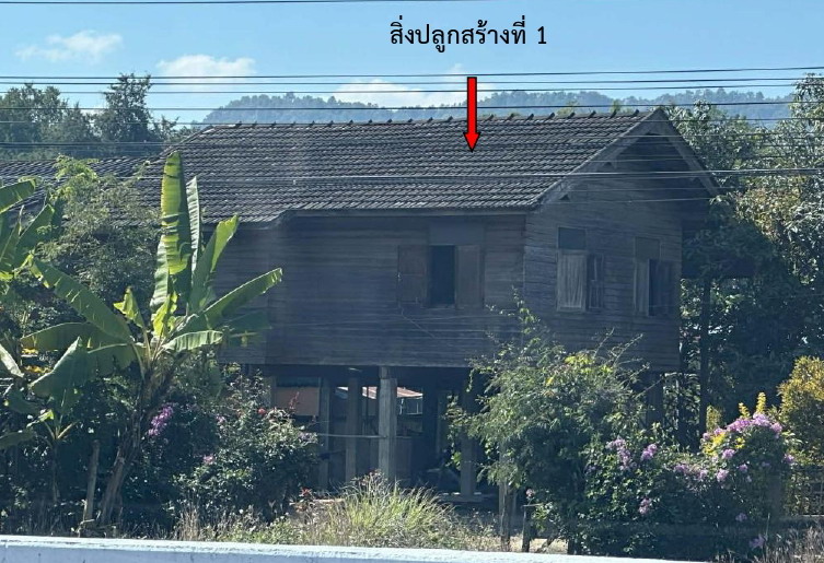 ขายทอดตลาด ที่ดินพร้อมสิ่งปลูกสร้าง ต.แม่เจดีย์ใหม่ อ.เวียงป่าเป้า จ.เชียงราย