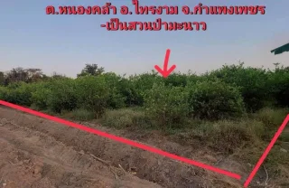 รูปทรัพย์ 4