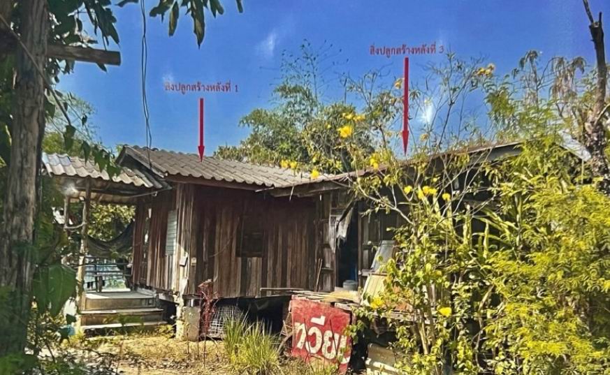 ขายทอดตลาด ที่ดินพร้อมสิ่งปลูกสร้าง ต.หัวง้ม อ.พาน จ.เชียงราย