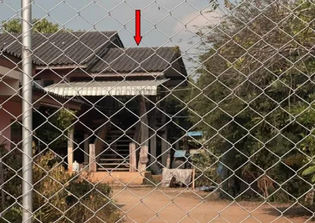 ขายทอดตลาด ที่ดินพร้อมสิ่งปลูกสร้าง ต.ท่าก๊อ อ.แม่สรวย จ.เชียงราย