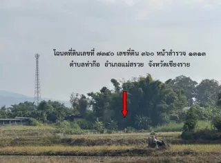 รูปทรัพย์ 2