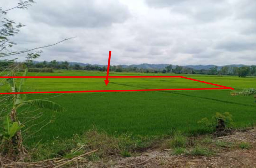 ขายทอดตลาด ที่ดินว่างเปล่า จ.เชียงราย