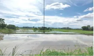 รูปทรัพย์ 2