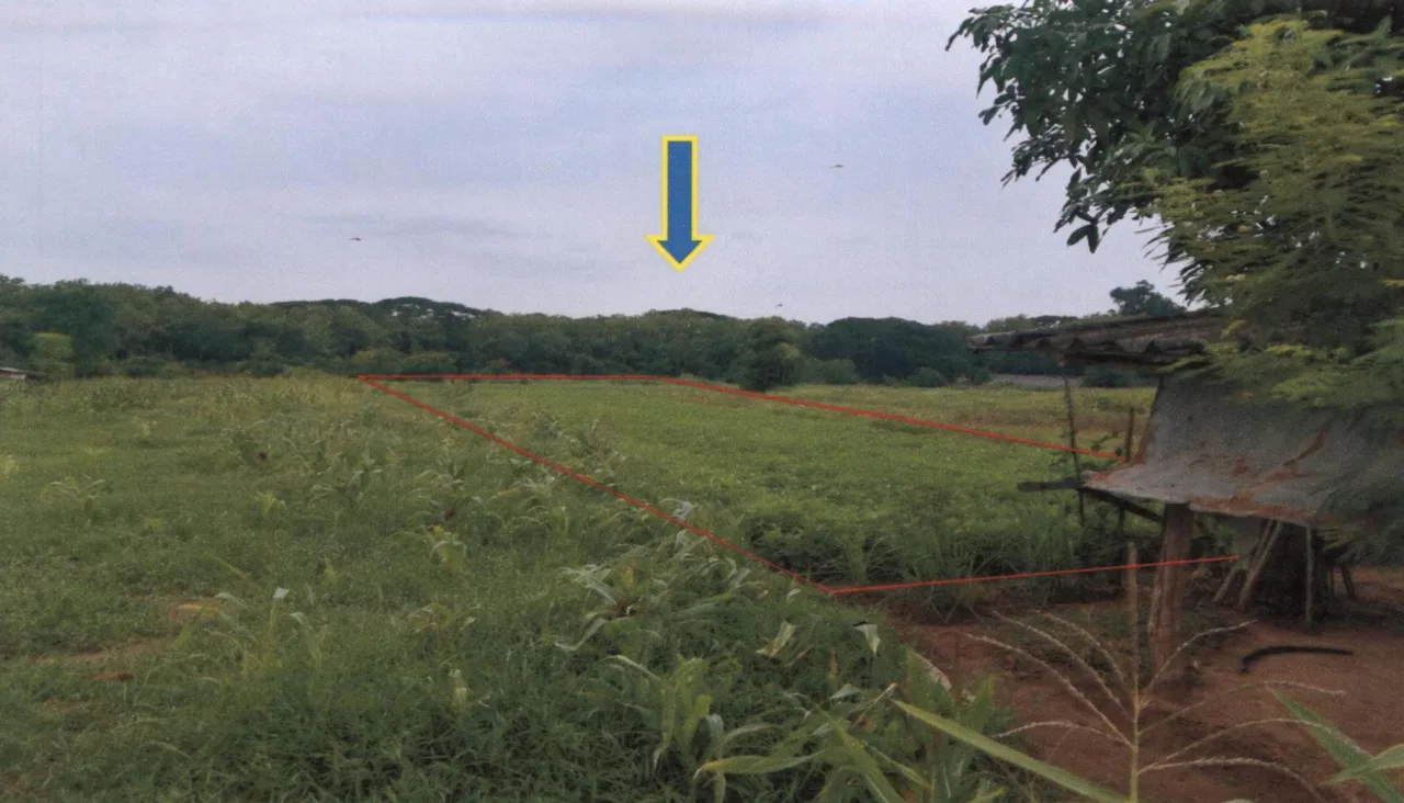 ขายทอดตลาด ที่ดินว่างเปล่า จ.แพร่