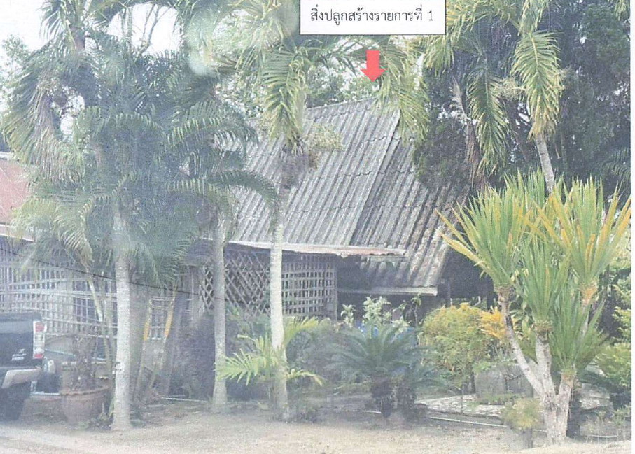 ขายทอดตลาด ที่ดินพร้อมสิ่งปลูกสร้าง ต.เจดีย์หลวง อ.แม่สรวย จ.เชียงราย