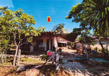 ขายทอดตลาด ที่ดินพร้อมสิ่งปลูกสร้าง ต.นาท่ามใต้ อ.เมืองตรัง จ.ตรัง