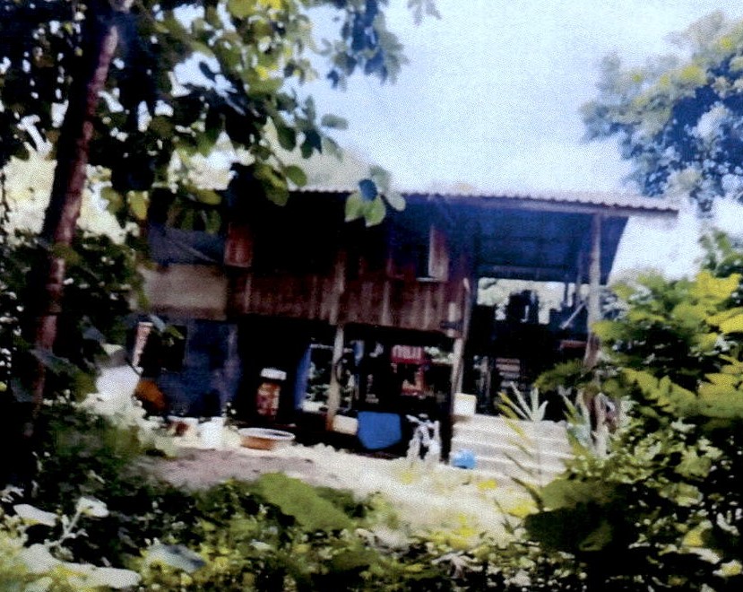 ขายทอดตลาด ที่ดินพร้อมสิ่งปลูกสร้าง ต.แม่ยม อ.เมืองแพร่ จ.แพร่