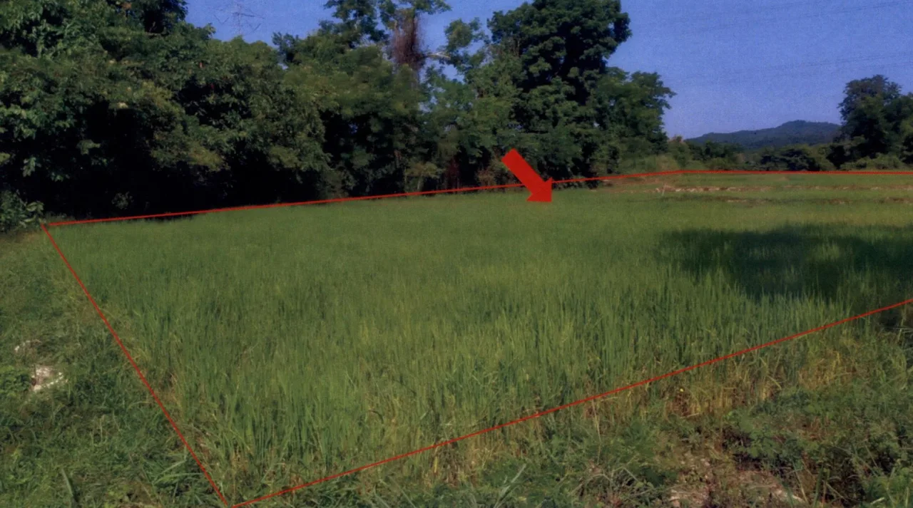ขายทอดตลาด ที่ดินว่างเปล่า จ.แพร่