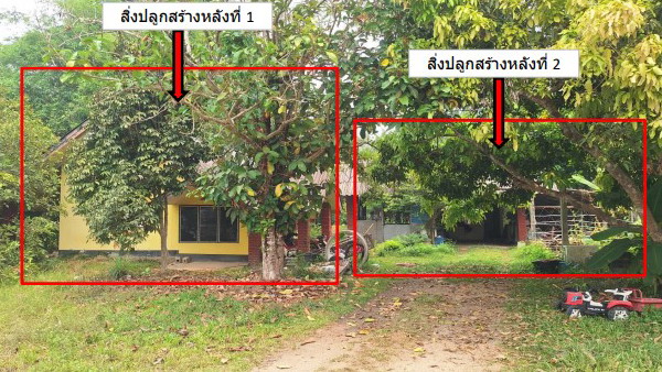 ขายทอดตลาด ที่ดินพร้อมสิ่งปลูกสร้าง ต.เวียงเหนือ อ.เวียงชัย จ.เชียงราย