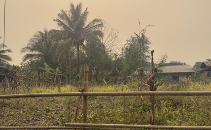 ขายทอดตลาด ที่ดินว่างเปล่า จ.เชียงราย