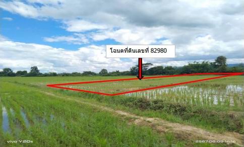 ขายทอดตลาด ที่ดินว่างเปล่า จ.เชียงราย